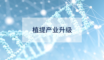 技術(shù)創(chuàng)新如何驅(qū)動(dòng)植提產(chǎn)業(yè)升級(jí)？